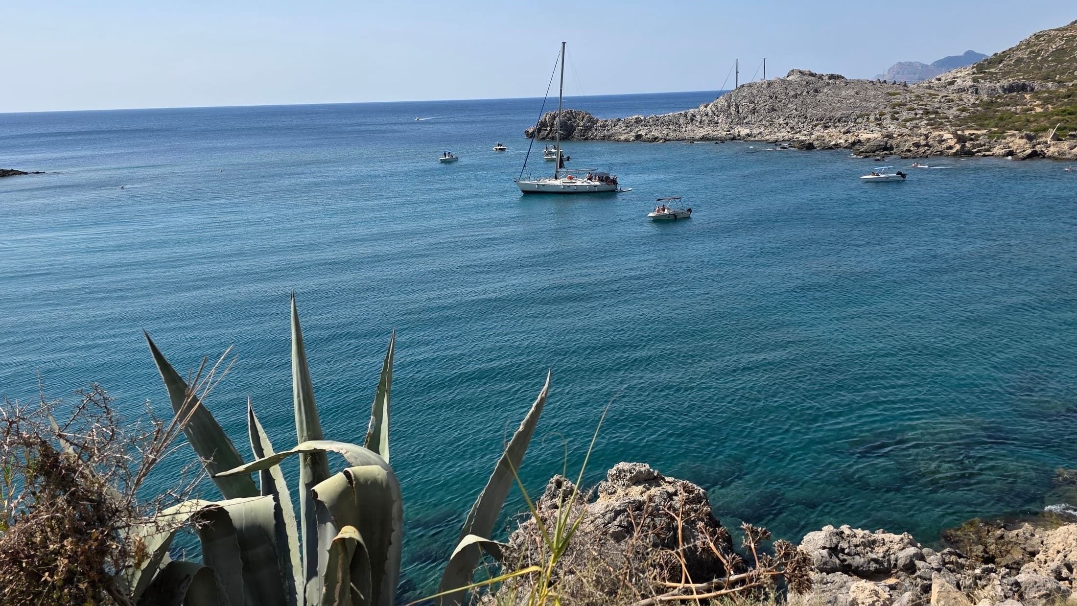 A sailboat anchored in a clear turquoise cove in Rhodes, agave plants in the foreground