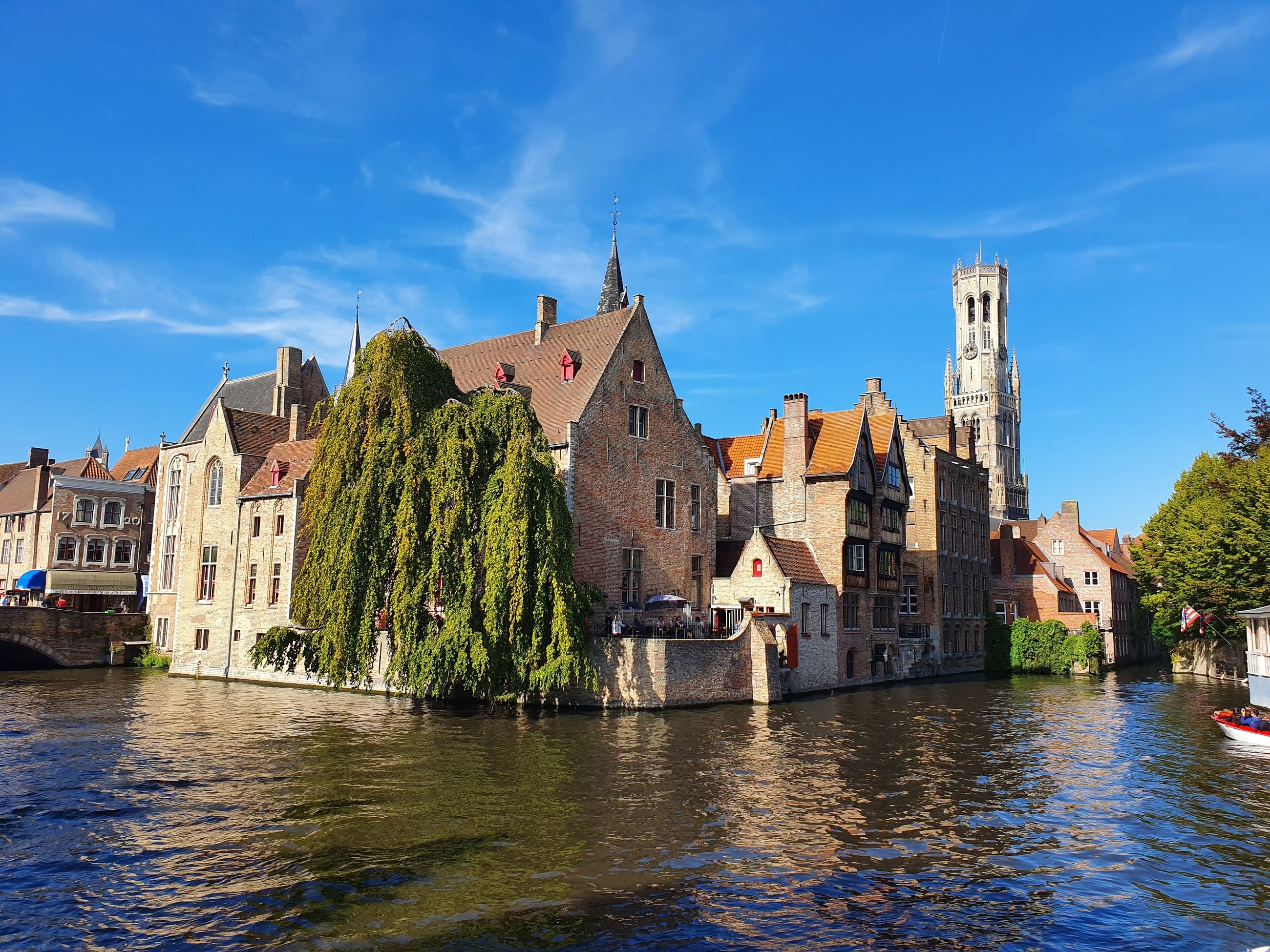 The iconic Rozenhoedkaai view: a weeping willow and reflected canal houses with the Belfry tower rising behind them